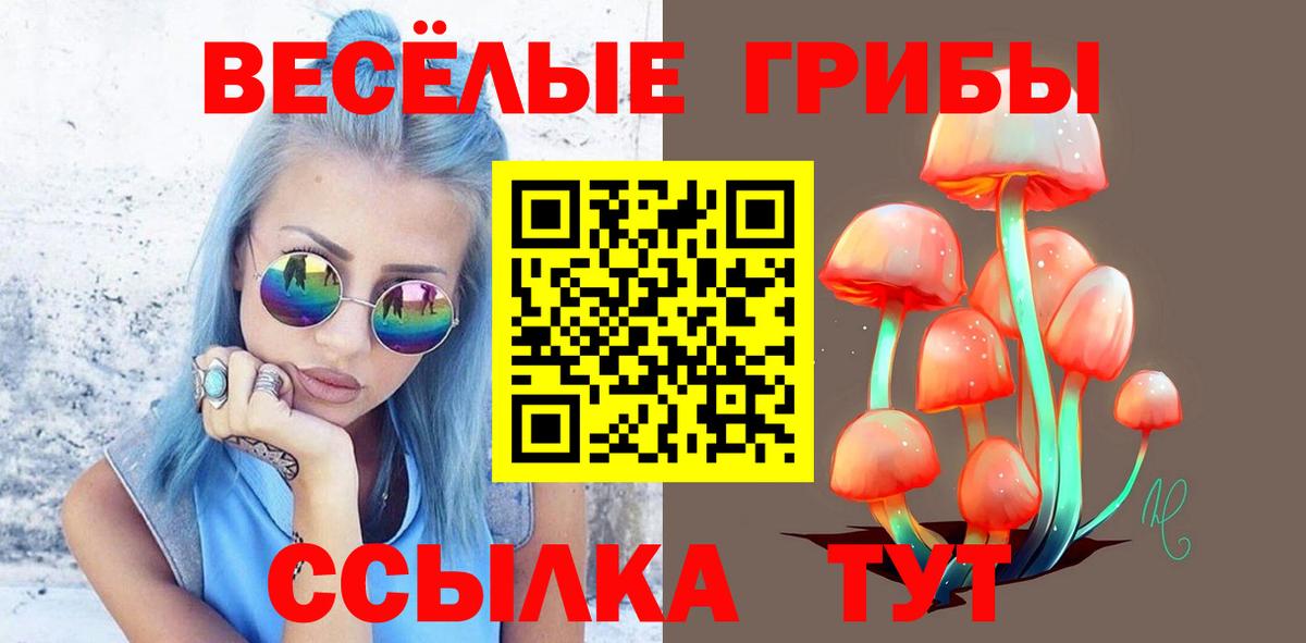 Псилоцибиновые грибы мицелий Реутов