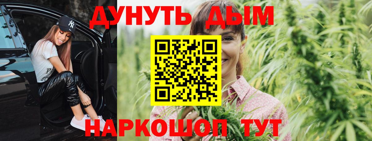 Каннабис сатива Реутов